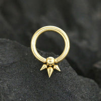 Load image into Gallery viewer, Exklusiver 316L Stahl PVD Gold BCR Piercing Schmuck
