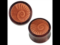 Load image into Gallery viewer, Holz Plug braun dunkel Fossilien Optik Schnecken Muschel Inlay Tunnel Expander
