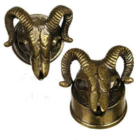 Load image into Gallery viewer, Brass Messing Plug Tunnel 3D Ramskull Widderkopf Schädel Skelett golden
