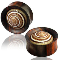 Cargar imagen en el visor de la galería, Holz Plug Sonnenuhrschnecke Muschel double flared
