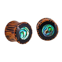 Load image into Gallery viewer, Two round Holz Plug Tunnel Kokosholz plugs with a glossy black ring and iridescent Paua Abalone resin inlay, displaying blue, green, and turquoise hues—Kreise schillernd Tribal Expander design.
