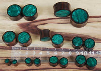 Cargar imagen en el visor de la galería, Holz Plug Sonoholz dunkelgrün schillernd Resin Inlay double flared
