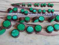 Cargar imagen en el visor de la galería, Various sizes of Holz Plug Sonoholz grün schillernd Resin Inlay double flared are arranged in rows on a wooden surface, with some placed next to a clear plastic ruler marked in centimeters.
