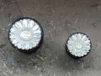 Load image into Gallery viewer, Plug weiß Horn Perlmutt Gänseblümchen double flared
