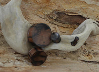 Load image into Gallery viewer, A close-up of ribbed Tigerholz Plug dunkelbraun schwarz Holzplug resting on bleached driftwood, with textured brown bark in the background.
