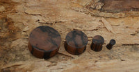 Load image into Gallery viewer, Four round Tigerholz Plug dunkelbraun schwarz Holzplug ribbed are arranged in a row on rough tree bark, decreasing in size from left to right.
