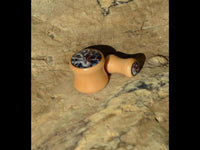 Load image into Gallery viewer, Holz Plug Oktopus Krake Bild beige hell double flared
