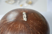 Load image into Gallery viewer, Anhänger 925 Sterling Silber Kreise schwarz schmal
