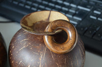 Load image into Gallery viewer, Ohr Piercing Parasitholz Holz Ohrgewicht Ring Donut
