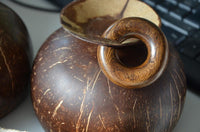 Load image into Gallery viewer, Ohr Piercing Parasitholz Holz Ohrgewicht Ring Donut
