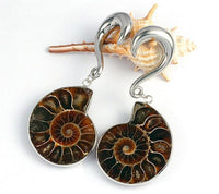 Load image into Gallery viewer, Nautilus Ohrgewicht Hook Piercing Edelstahl 4mm-8mm
