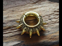 Cargar imagen en el visor de la galería, Ohrgewicht Brass 6mm Expander Piercing Clicker Stacheln
