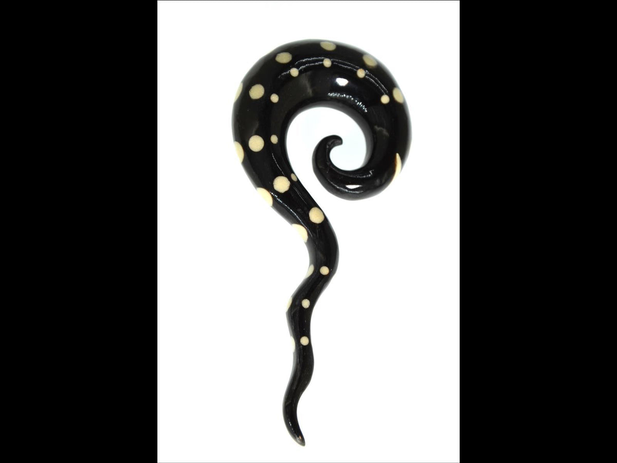 Horn Piercing Expander schwarz Thai-Spirale Punkte weiß
