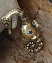 Cargar imagen en el visor de la galería, Ohrgewicht 4mm Hook Dehner Messing Seepferdchen 40mm
