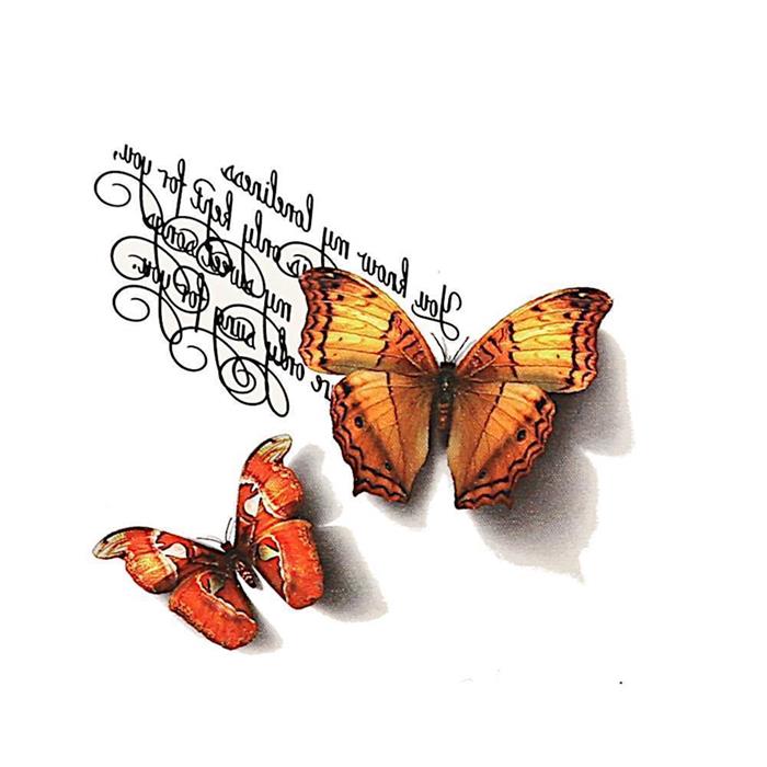 Klebetattoo Schmetterlinge realistisch rot orange Schatten Spruch Schreibschrift