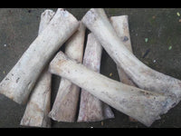 Cargar imagen en el visor de la galería, Bone Pin Creolen 63mm weiß Knochen Ohrringe Handarbeit verzierte Träne Schmuck
