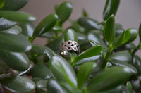 Load image into Gallery viewer, Silberring Netz Schleifen Ringe 925 Sterling keltisch Knoten Bandringe
