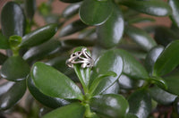 Load image into Gallery viewer, Ringe Filigran Muster 17 mm 925 Sterling Silber
