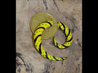 Cargar imagen en el visor de la galería, Fake Spirale bemalt gelb schwarz grün Piercing Holz
