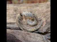 Load image into Gallery viewer, Fake Piercing Ohrring Spirale hell gemasert Bananenholz
