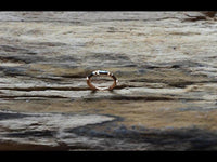 Load image into Gallery viewer, Klapp Segment Ring Piercing rechteckig Kristall schwarz
