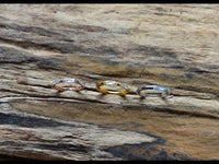 Load image into Gallery viewer, Klapp Segment Ring Piercing rechteckig Kristall weiß
