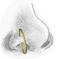 Load image into Gallery viewer, Nostril Piercing Messing Nasenstecker Nasenringe Nasen Pins gold 8mm 10mm 12mm
