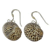 Load image into Gallery viewer, Schneckenmuschel-Ohrringe mit Bügel aus 925 Sterlingsilber, ca. cm 2,0cm lang und 1,5cm breit
