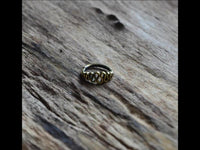 Load image into Gallery viewer, Nasen Ring Piercing Brass antik gold spiralig Nostril
