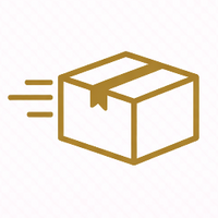 schneller versand icon