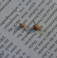 Load image into Gallery viewer, Gewindelose Piercing Enden 0.45mm Holz Stein Halbkugel - chic - net.de
