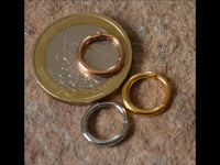 Load image into Gallery viewer, Klapp Segmentring Piercing Sichel Edelstahl Gold PVD - chic - net.de
