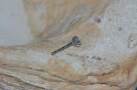 Load image into Gallery viewer, Nostril Piercing Nasenstecker Edelstahl Glitzer Stern - chic - net.de
