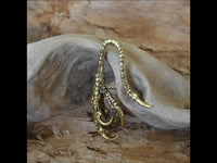 Load image into Gallery viewer, Ohr Piercing Brass gold Krähen Kralle Dehner 2mm - chic - net.de
