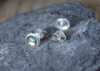 Load image into Gallery viewer, Ohrstecker 925 Silber E - Coat Muschel bunt rund - chic - net.de
