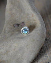 Load image into Gallery viewer, Ohrstecker 925 Silber E - Coat Muschel bunt rund - chic - net.de
