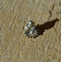 Load image into Gallery viewer, Ohrstecker 925 Sterling Silber Abalone E - Coat Sonne - chic - net.de
