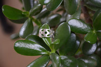 Load image into Gallery viewer, Ring Lochmuster Kreise Ellipsen 925er Sterling Silber - chic - net.de
