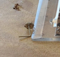 Load image into Gallery viewer, Silber Nasenstecker 0,8 mm Nostril Blume L - Form - chic - net.de
