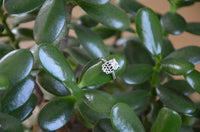 Load image into Gallery viewer, Silberring filigran Eule 925 Sterling Silber Ring - chic - net.de
