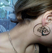 Load image into Gallery viewer, Spiralen Messing Ohrringe gold Nautilus Schnecke - chic - net.de
