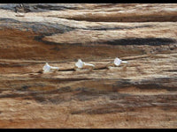 Load image into Gallery viewer, Universal Piercing Ring 925 Silber 1.2mm Mondstein - chic - net.de
