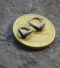 Load image into Gallery viewer, Universal Piercing Ring 925 Silber V Lorbeer Kranz - chic - net.de
