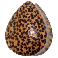 Load image into Gallery viewer, Holzplug Träne Kokosholz braun Muster schwarze Punkte handgeschnitzt Tribal Holz Plug Tunnel
