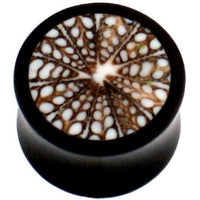 Cargar imagen en el visor de la galería, Horn Plug schwarz braun weiß Muster Spidermuschel Tribal Buffalo Tunnel Ohrring handgeschnitzt
