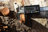 Load image into Gallery viewer, Olivenholz Flesh ribbed Plug Lobe Piercing Holz straight
