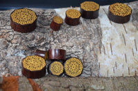 Load image into Gallery viewer, Holz Plug Blumen Wabe gold double flared
