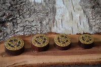 Load image into Gallery viewer, Holz Plug Auge Dreieck dreigeteilt gold double flared
