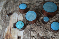 Load image into Gallery viewer, The Holz Plug Sonoholz Crushed Türkis Inlay double flared features bright turquoise inlays on smooth wood, arranged on weathered timber. Two plugs reveal the fine wood grain and turquoise tops, making them ideal for a distinctive expander look.
