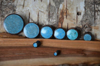 Load image into Gallery viewer, Six Holz Plug Sonoholz Crushed Türkis Inlay double flared plugs in various sizes, plus two small matching blue stone studs, are displayed in a row on textured wood with bark in the background.
